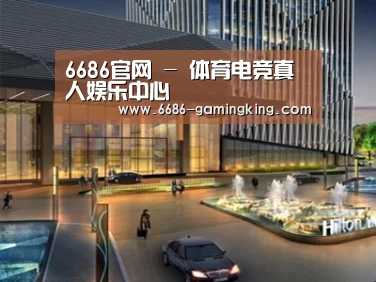 案例展示二